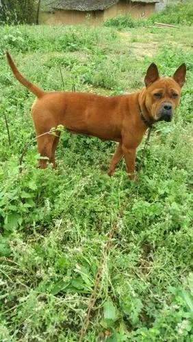 fb9705bc85deafd66eba85f70cec0b9b_u=613631511,1798907312&fm=253&fmt=auto&app=138&f=JPEG_w=282&h=500