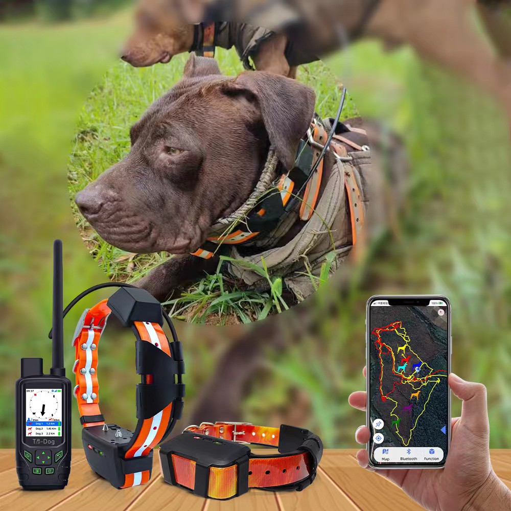 _20220801175736 _20220801175736