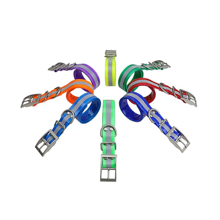 Ċinga tal-għonq tal-klieb tal-kaċċa tal-klieb TR Premium